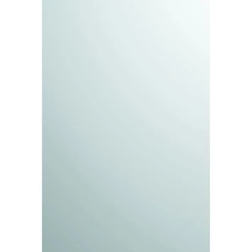 Plieger Spiegel Rechthoek 60x40 Cm