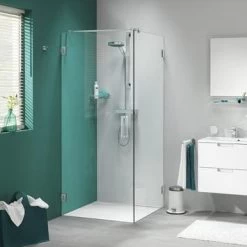 Sealskin Swingdeur Voor Douchewand I AM 200x100 Cm RVS