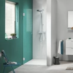 Sealskin Swingdeur Voor Nis I AM 200x80 Cm RVS