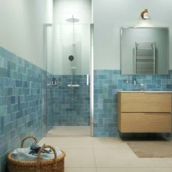 Sealskin Inc. Draaideur In Nis, 90x200 Cm, 8 Mm Helder Veiligheidsglas Met Antikalklaag Zilver Hoogglans