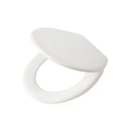 Tiger WC Bril Aiden Wit Kunststof Met Softclose